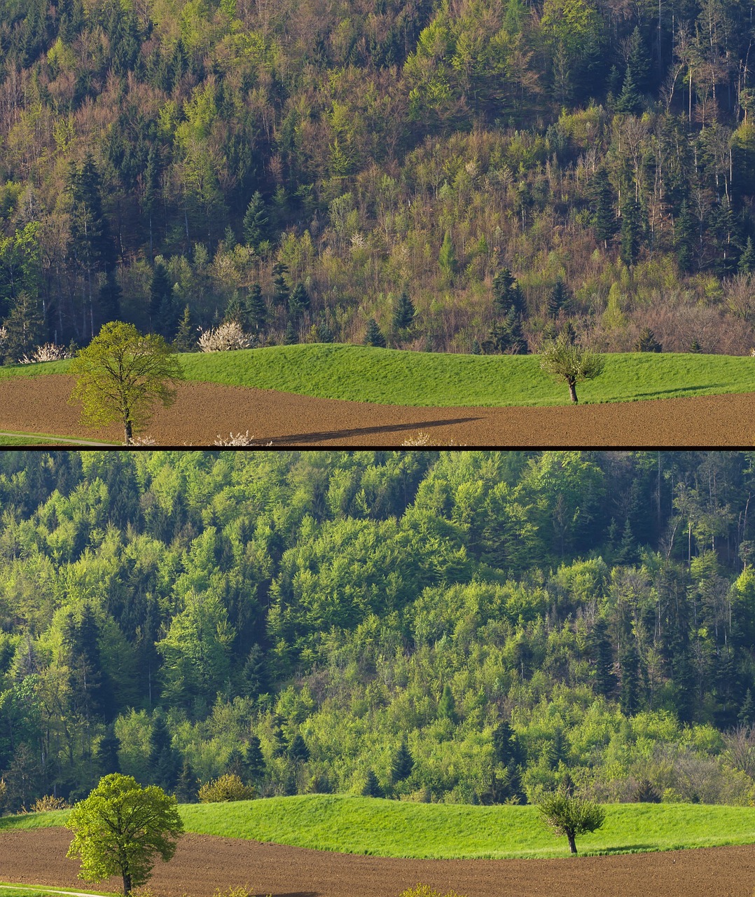 co2-speicherung: effiziente methoden zur reduzierung von kohlendioxidemissionen und zum schutz der umwelt durch innovative technologien.